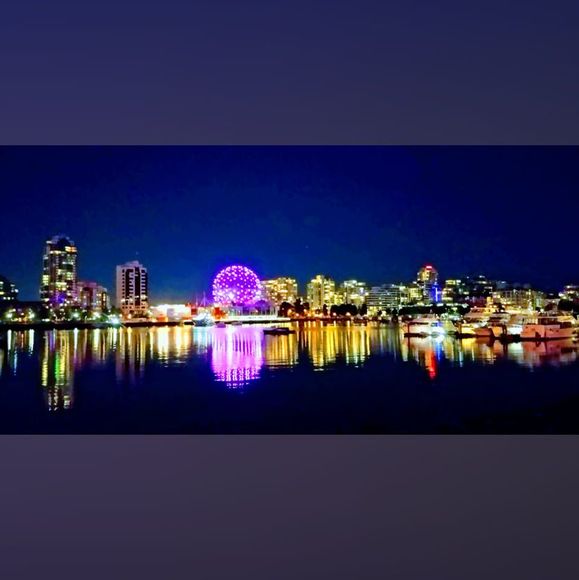 Meet your Posher, Nessa - Picture 1 of 1